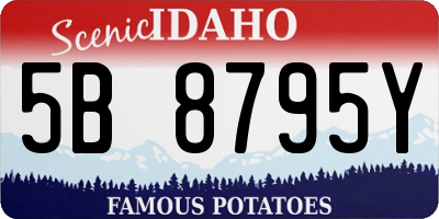ID license plate 5B8795Y