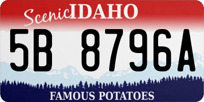 ID license plate 5B8796A