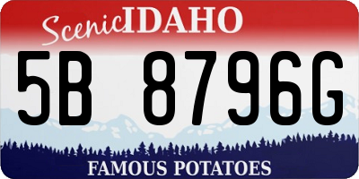 ID license plate 5B8796G