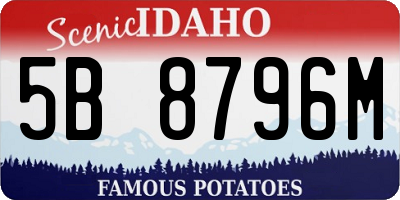 ID license plate 5B8796M