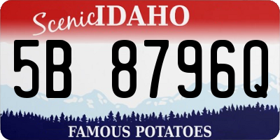 ID license plate 5B8796Q