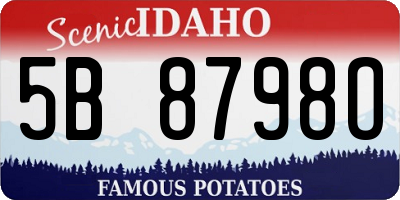 ID license plate 5B8798O