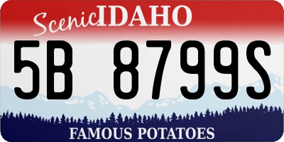 ID license plate 5B8799S