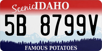 ID license plate 5B8799V