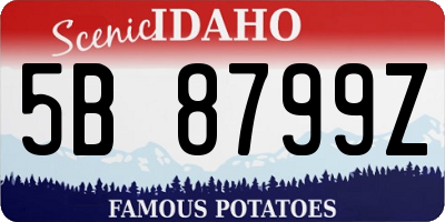 ID license plate 5B8799Z