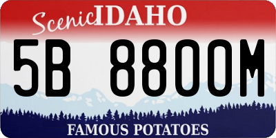 ID license plate 5B8800M