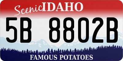 ID license plate 5B8802B