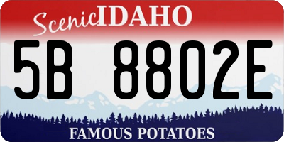 ID license plate 5B8802E