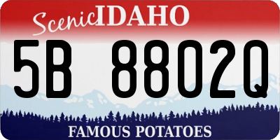 ID license plate 5B8802Q