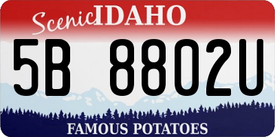 ID license plate 5B8802U