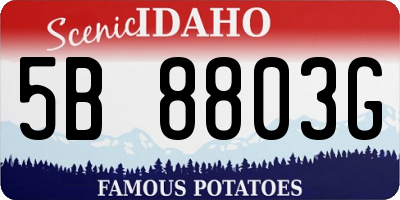 ID license plate 5B8803G