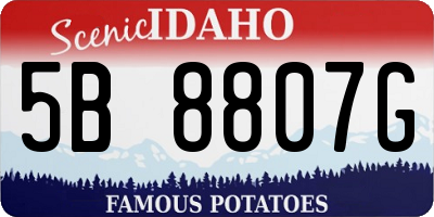 ID license plate 5B8807G