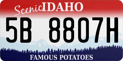ID license plate 5B8807H