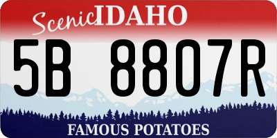 ID license plate 5B8807R