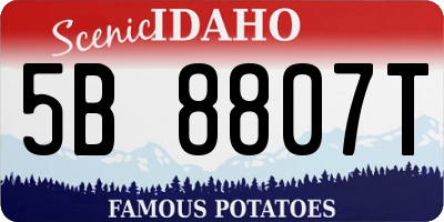ID license plate 5B8807T