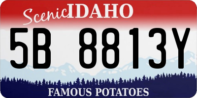 ID license plate 5B8813Y