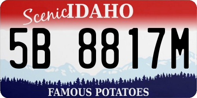 ID license plate 5B8817M