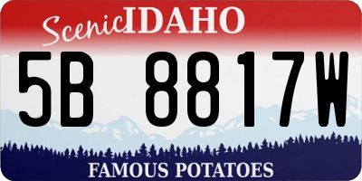 ID license plate 5B8817W