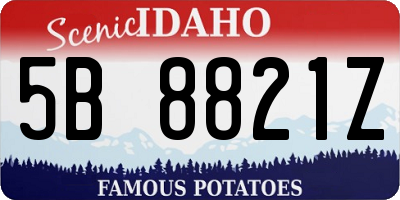 ID license plate 5B8821Z