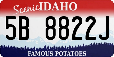 ID license plate 5B8822J