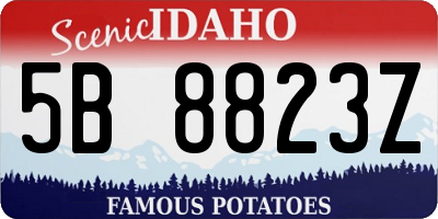 ID license plate 5B8823Z