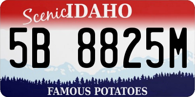 ID license plate 5B8825M