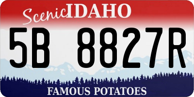 ID license plate 5B8827R