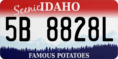 ID license plate 5B8828L