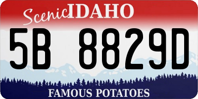 ID license plate 5B8829D