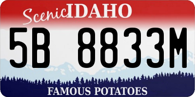 ID license plate 5B8833M