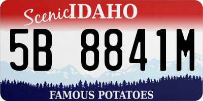 ID license plate 5B8841M
