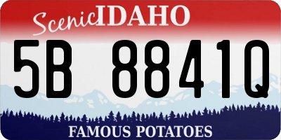 ID license plate 5B8841Q