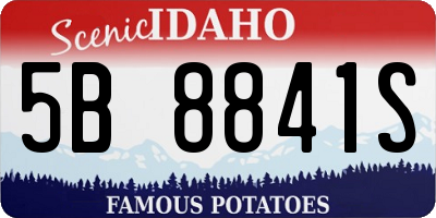ID license plate 5B8841S