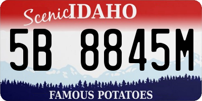 ID license plate 5B8845M