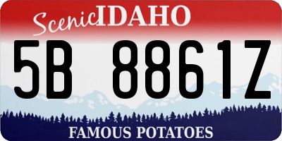 ID license plate 5B8861Z