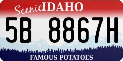 ID license plate 5B8867H