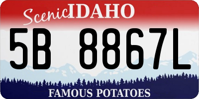 ID license plate 5B8867L