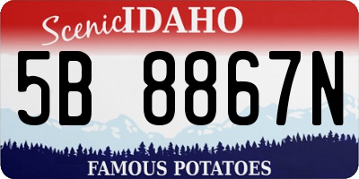ID license plate 5B8867N