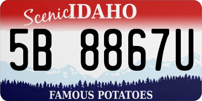 ID license plate 5B8867U