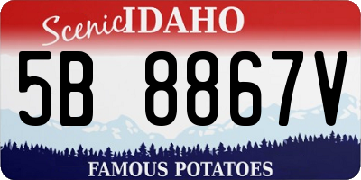 ID license plate 5B8867V