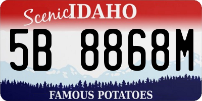 ID license plate 5B8868M