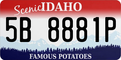 ID license plate 5B8881P