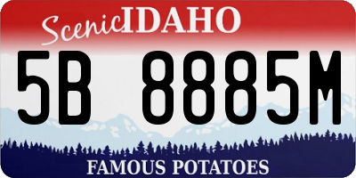 ID license plate 5B8885M