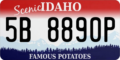 ID license plate 5B8890P