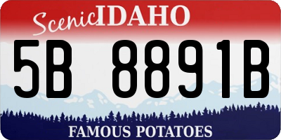 ID license plate 5B8891B