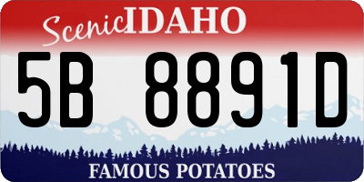 ID license plate 5B8891D