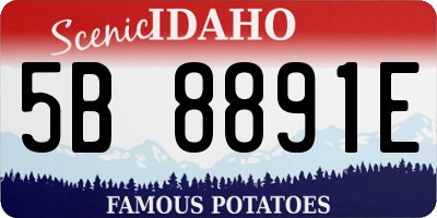 ID license plate 5B8891E