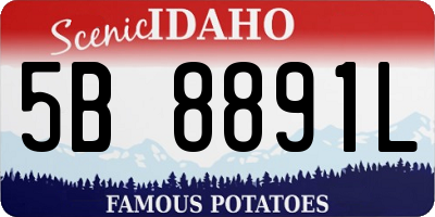 ID license plate 5B8891L