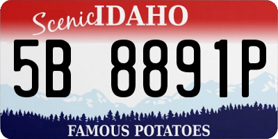 ID license plate 5B8891P