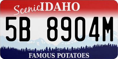 ID license plate 5B8904M